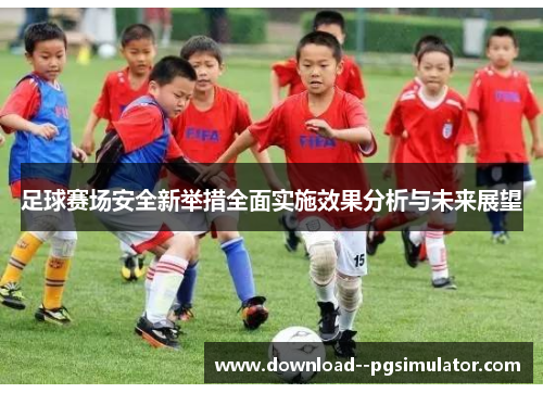 足球赛场安全新举措全面实施效果分析与未来展望