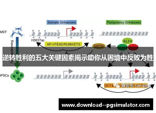 逆转胜利的五大关键因素揭示助你从困境中反败为胜