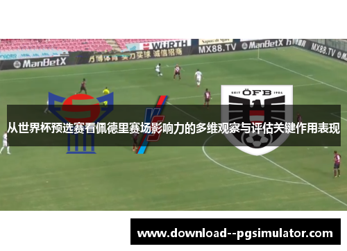 从世界杯预选赛看佩德里赛场影响力的多维观察与评估关键作用表现 从世界杯预选赛看佩德里赛场影响力的多维观察与评估关键作用表现