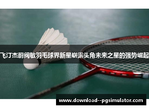 飞汀杰蔚阀敏羽毛球界新星崭露头角未来之星的强势崛起