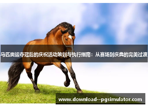 马匹奥运夺冠后的庆祝活动策划与执行指南：从赛场到庆典的完美过渡