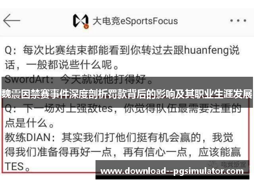 魏震因禁赛事件深度剖析罚款背后的影响及其职业生涯发展