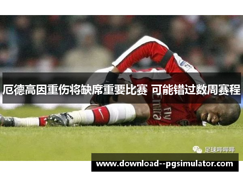 厄德高因重伤将缺席重要比赛 可能错过数周赛程